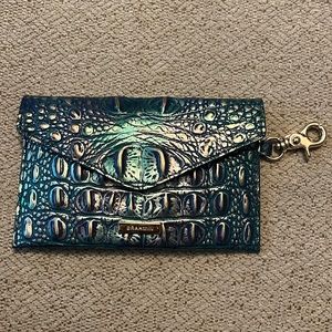 Brahmin Mask Case in Dragon